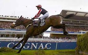 amberleigh house and Graham Lee win the national in 2004